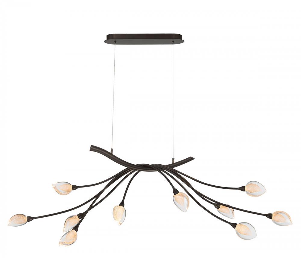 Modena, 10 Light Oval LED Chandelier,  Black with Gold Accent