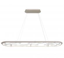 Lib & Co. CA 12174-041 - Nettuno 60" Oval LED Chandelier, Painted Brushed Champagne