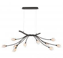Lib & Co. CA 12234-043 - Modena, 10 Light Oval LED Chandelier,  Black with Gold Accent