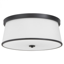Quorum 3203-20-59 - Weir 20 inches Ceiling Mount, Matte Black