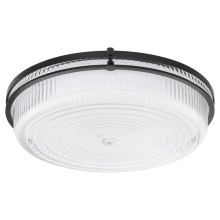 Quorum 368-18-59 - EMORY 18" 5CCT CEILING MOUNT - MATTE BLACK