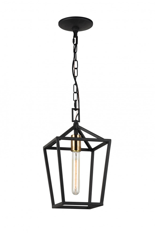 Scatola Rusty Black and Aged Gold Brass Accents Pendant