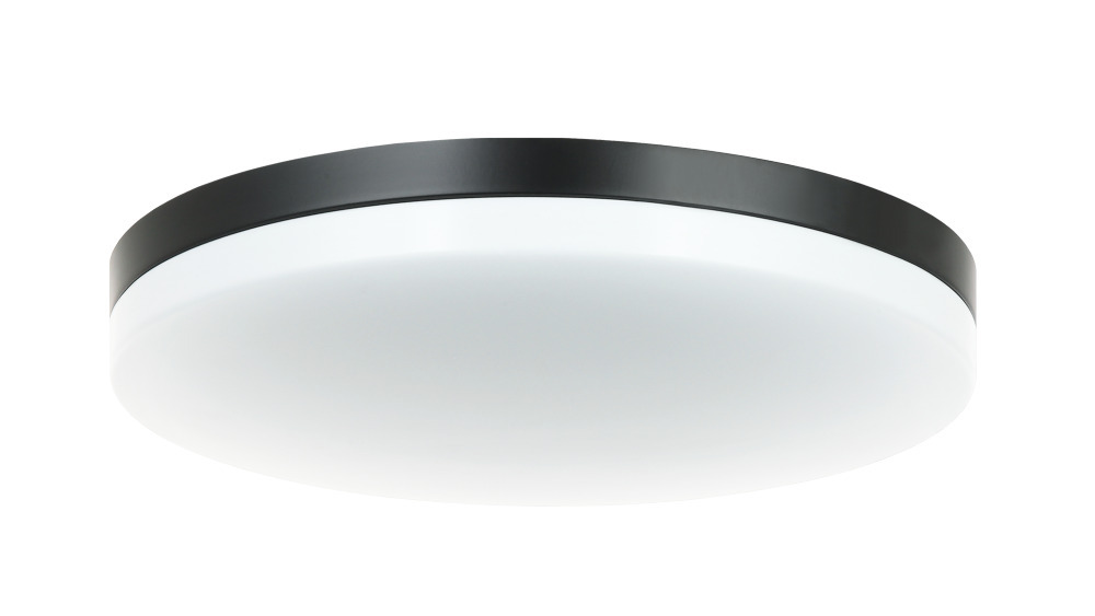 Orion Black Ceiling Mount