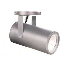 WAC Canada MO-2042-935-BN - Silo X42 Monopoint Luminaire