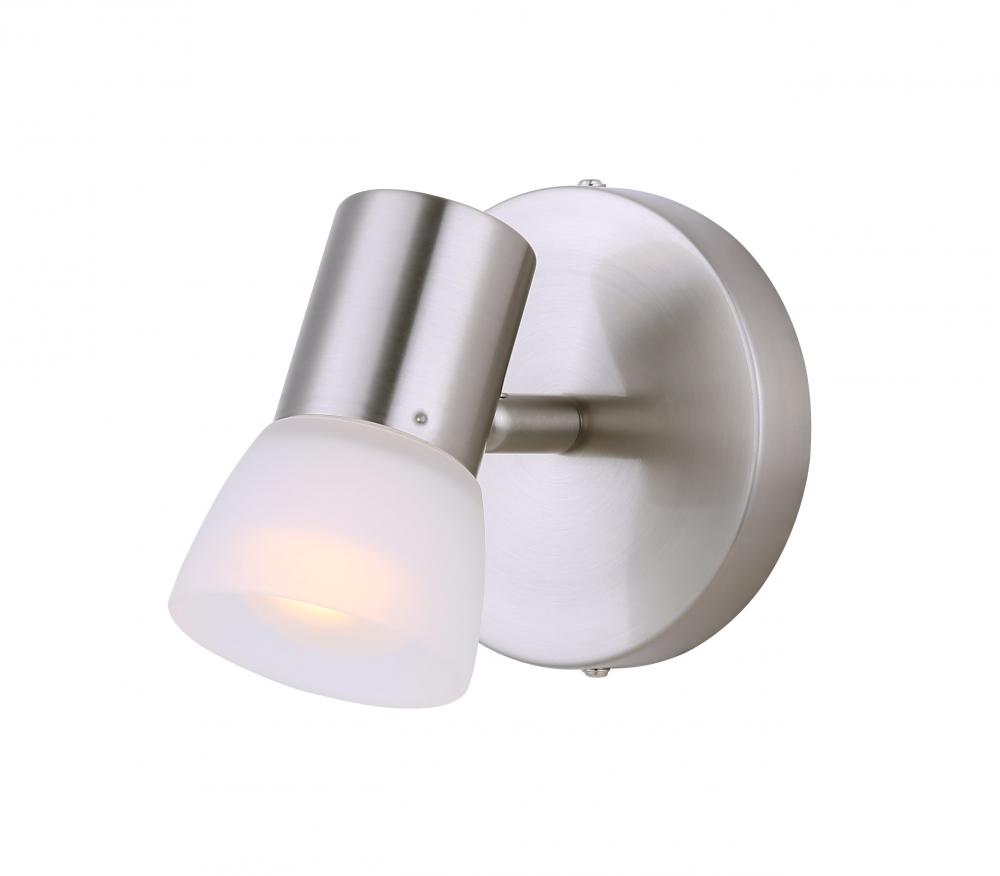 Hudson, ICW517A01BN, 1 Lt Ceiling/Wall, Frosted Glass, 60W A15 or R16, 5 IN W x 5 IN H