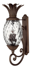 Hinkley Canada 2225CB - Extra Large Wall Mount Lantern