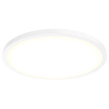 Dals CFLEDR24-CC-WH - 24'' ceiling flushmount