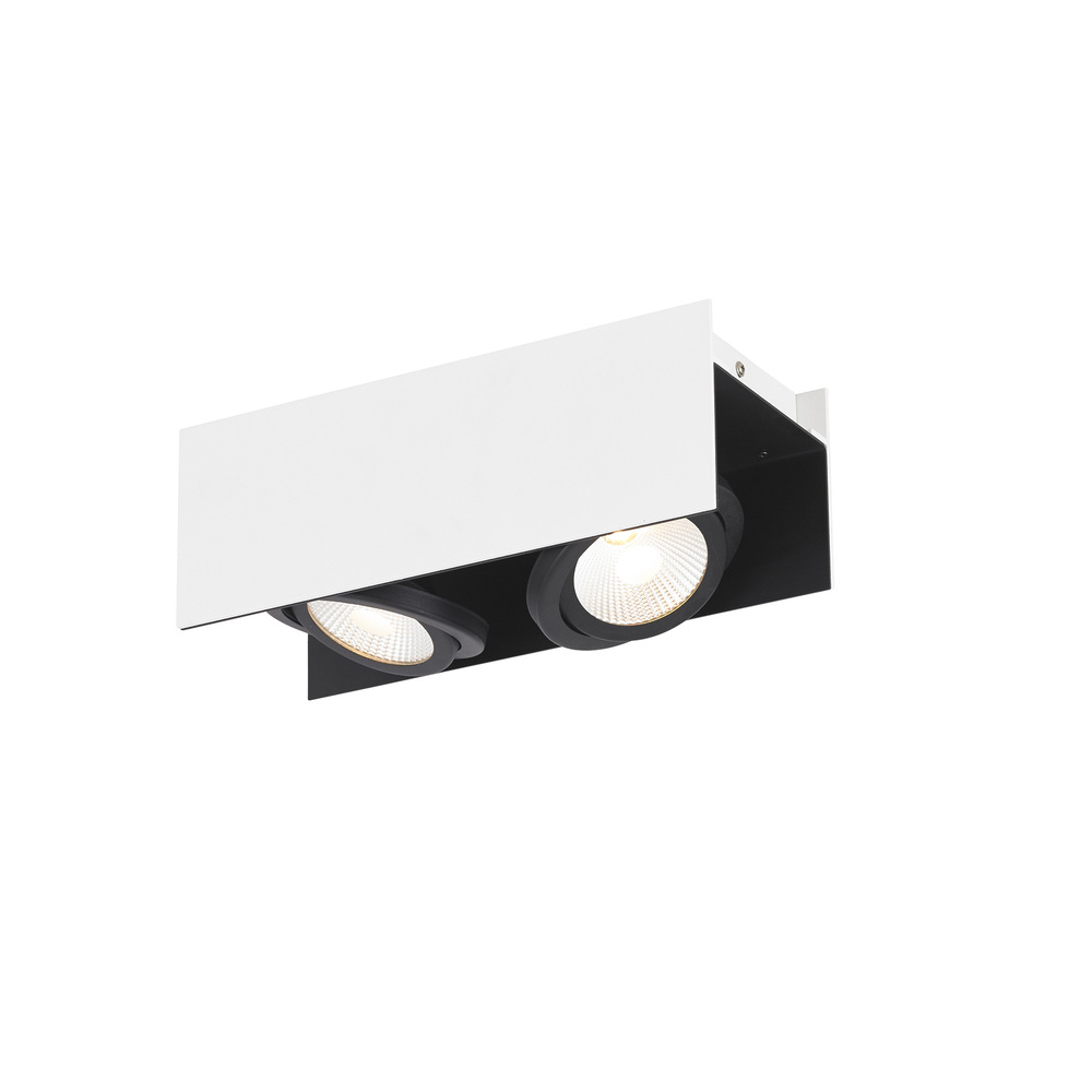 Vidago 2-Light LED Flush Mount